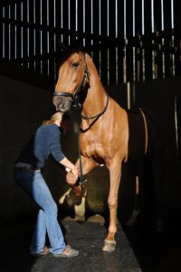 Olivia Jones, Equine and Animal Chiropractor.