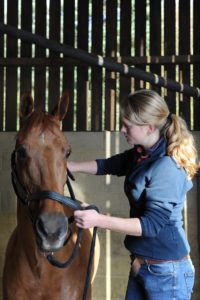 Olivia Jones, Equine and Animal Chiropractor.